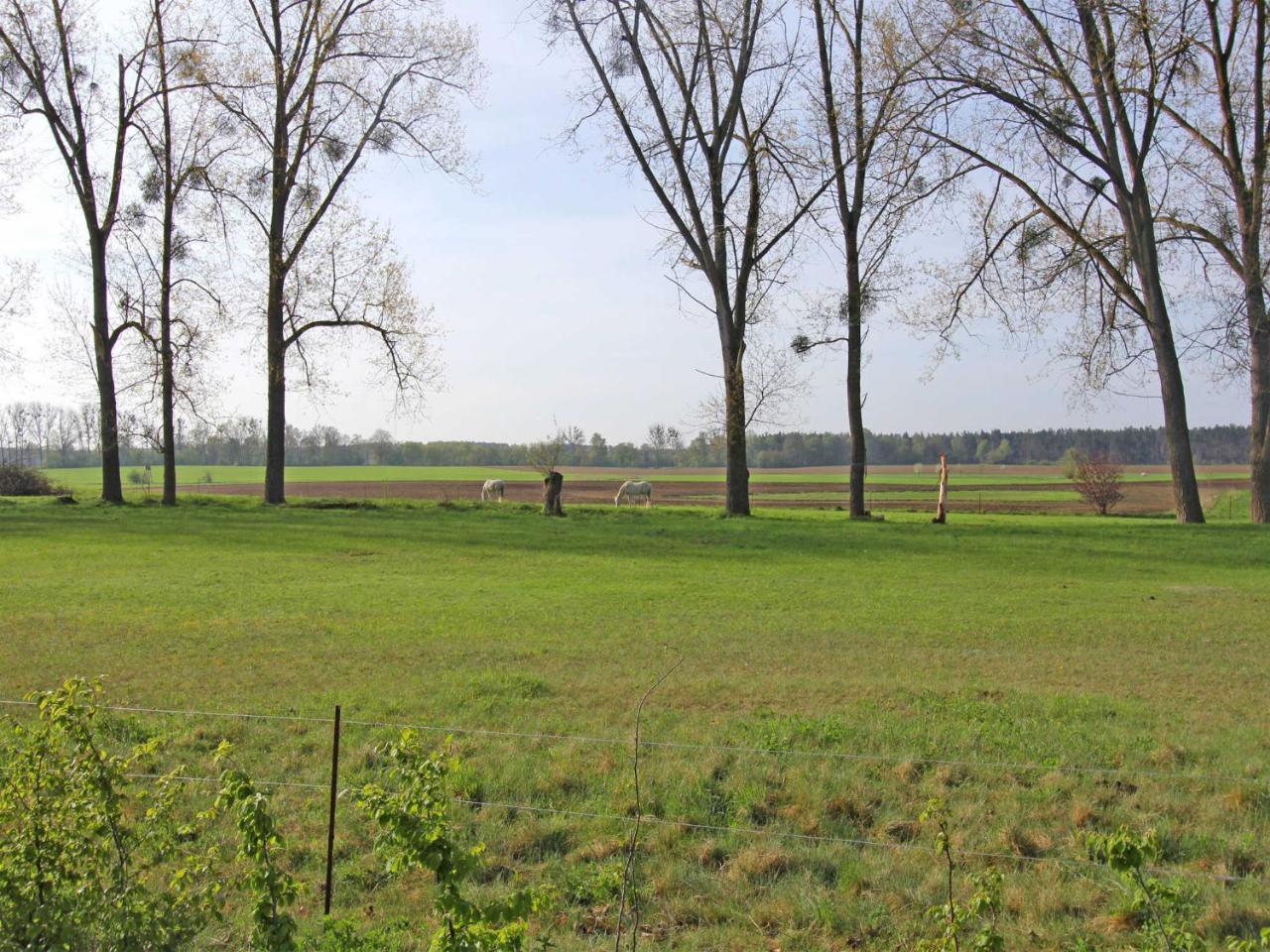 Ferienwohnungen Qualzow See 5450 Roggentin  Buitenkant foto